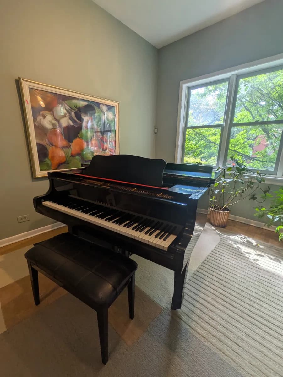 Lincoln Park: Art Enthusiasts & Designers alike! This House is a MUST! photo 1