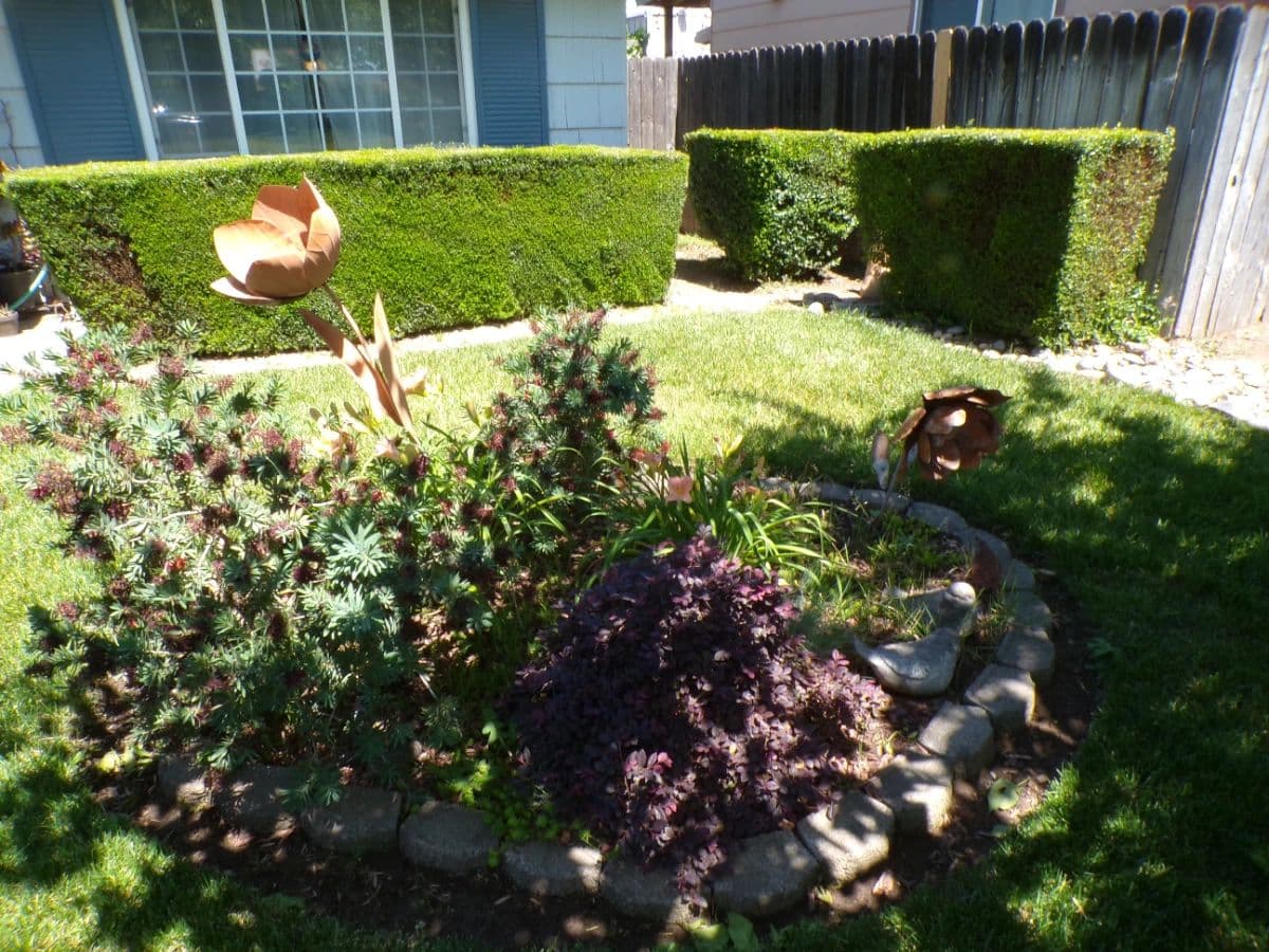 Sacramento Estate Sale BY A Simple Solution Estate Sale Company photo 9