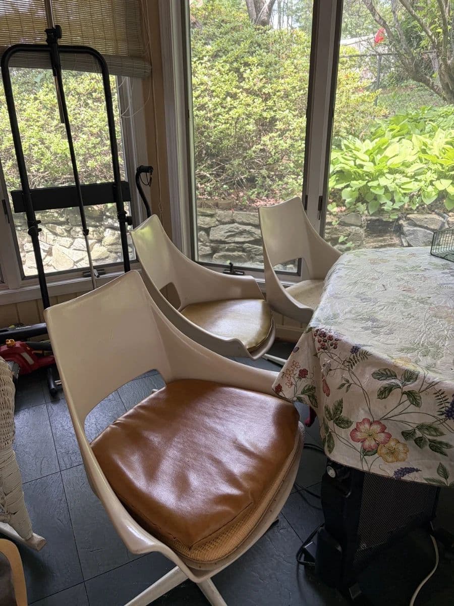 Artist's Gorgeous DC Home Estate Sale! (Aug 7-9) photo 9