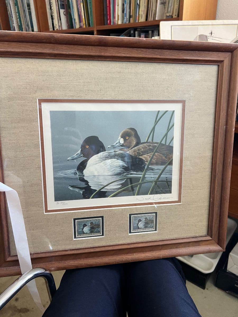 Blue Waters Museum Quality University City Estate Sale photo 11