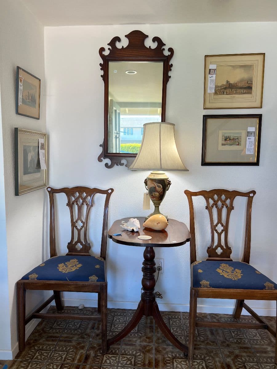 Blue Waters Museum Quality University City Estate Sale photo 4