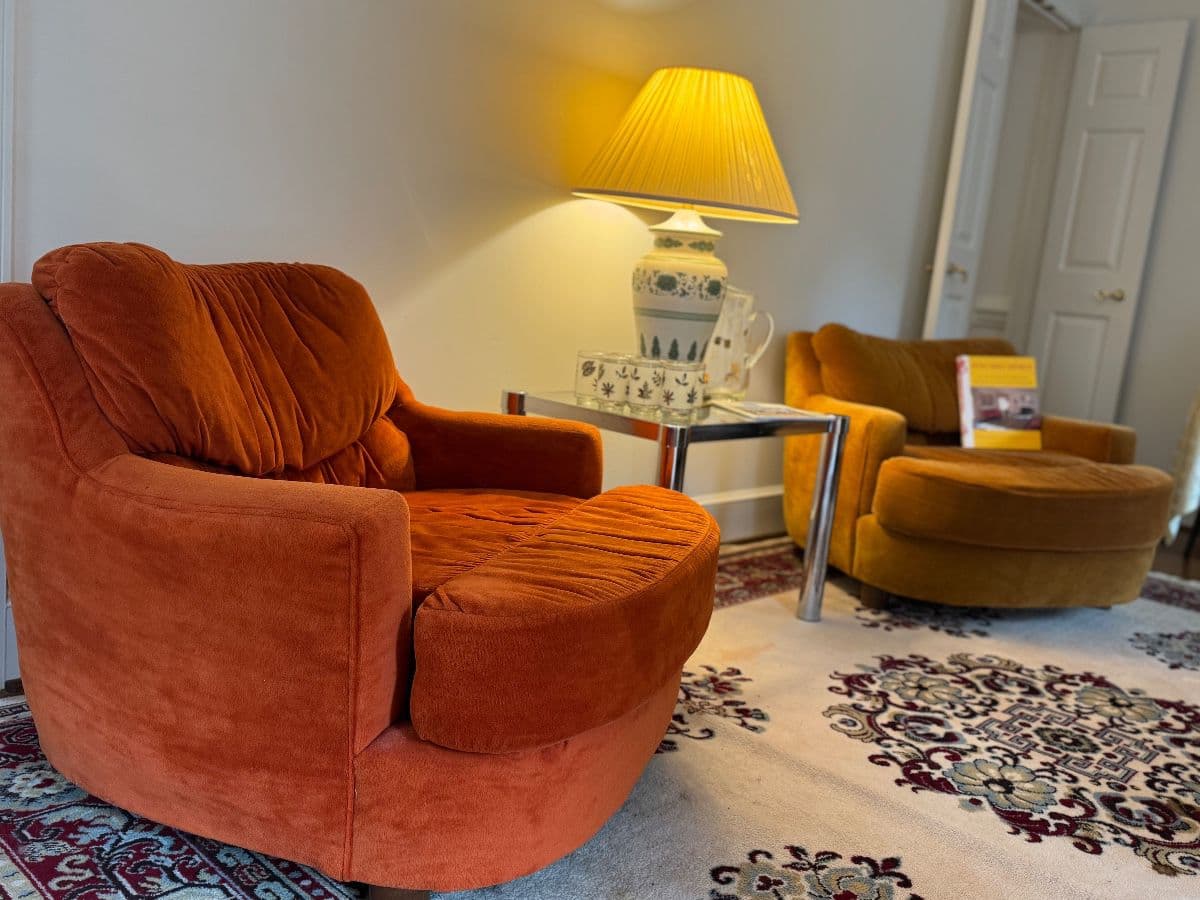 50% off Saturday - Downsizing sale off Carmel Rd photo 7