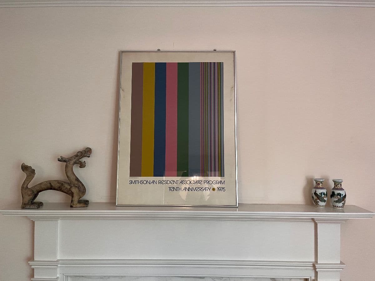 Mid Century Madness in Chevy Chase DC photo 9