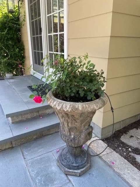 Designer Estate Sale photo 3