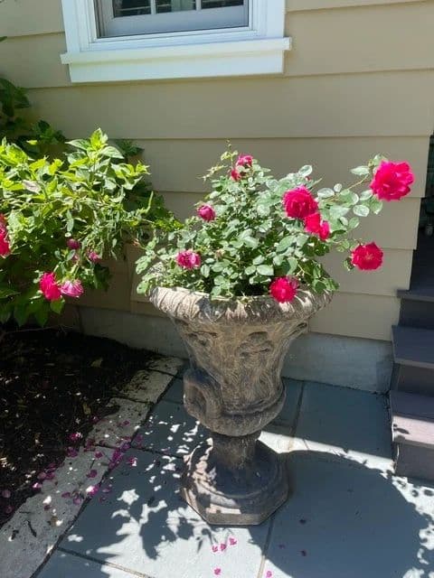 Designer Estate Sale photo 4