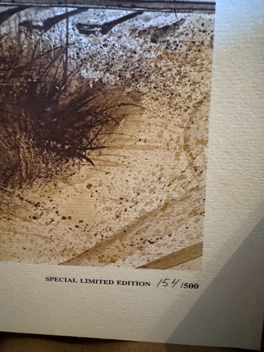 Come and See photo 12