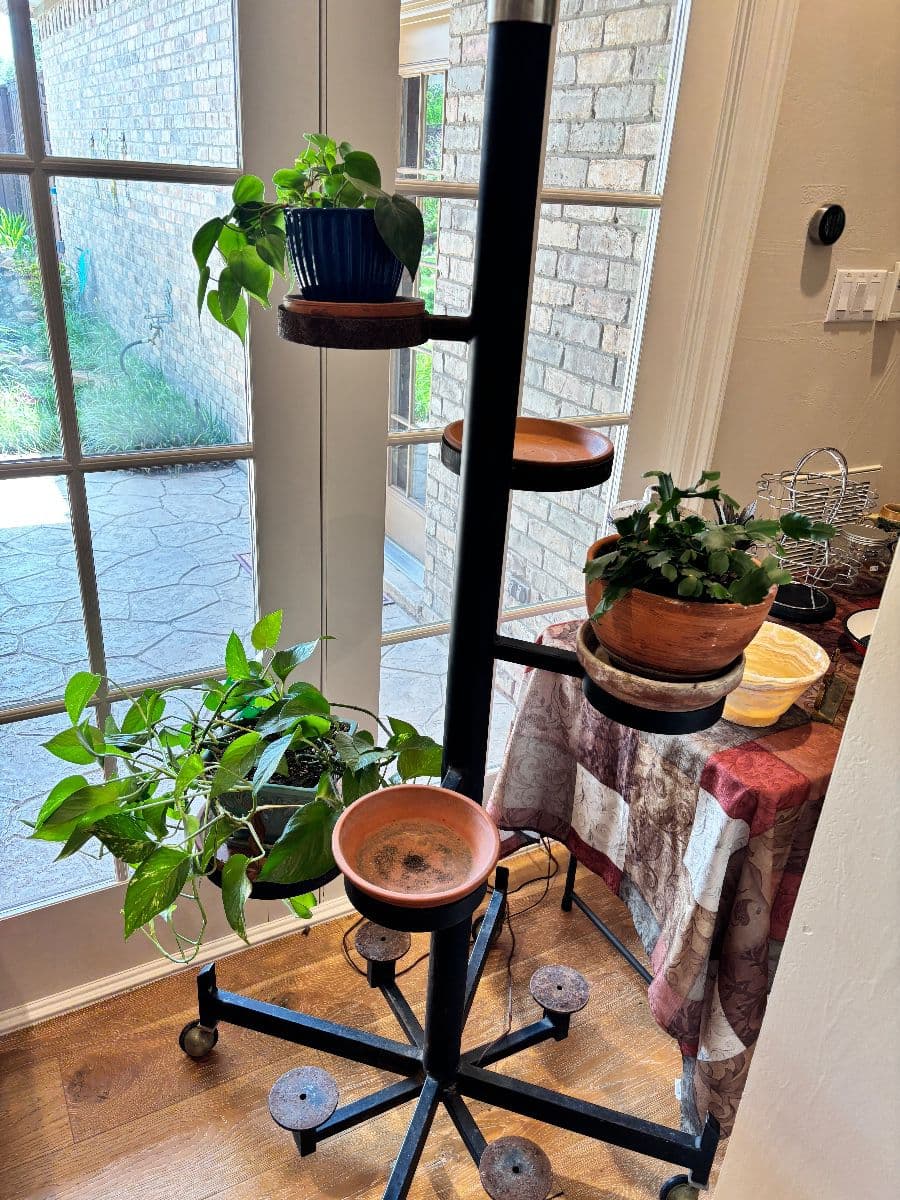 Estate Sale In North Dallas photo 9