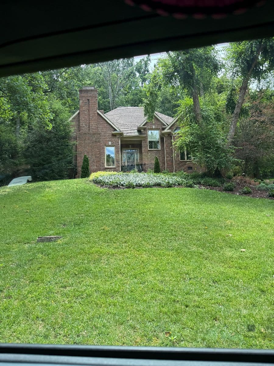 Buy Saving Grace Estate Sale photo 1
