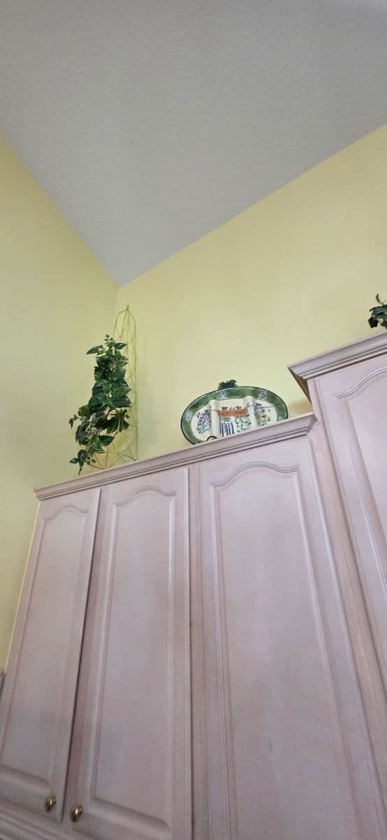 A Fabulous find estate sale Conway photo 2