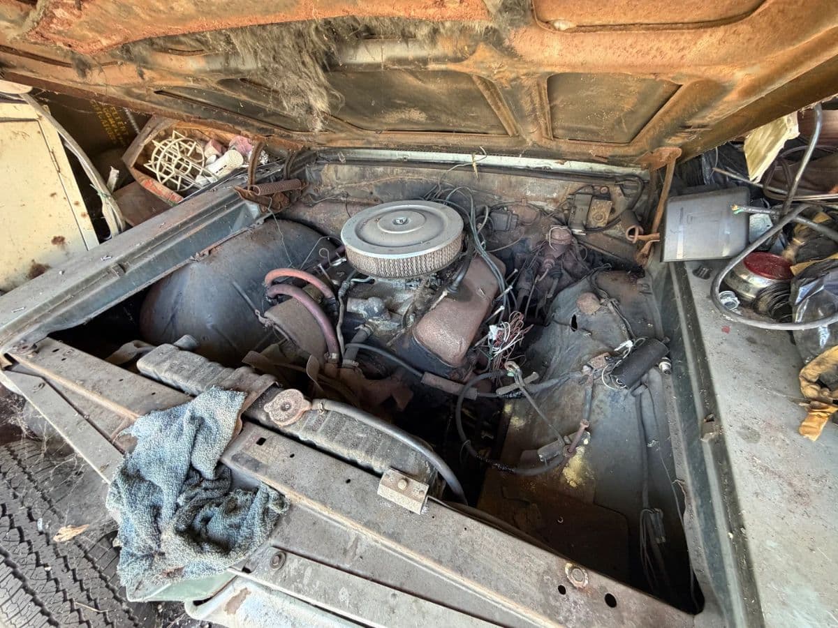 Untouched Time-Capsule Estate: Buried 1967 GTO, Rare Comics, Vinyl & Vintage Treasures! photo 11