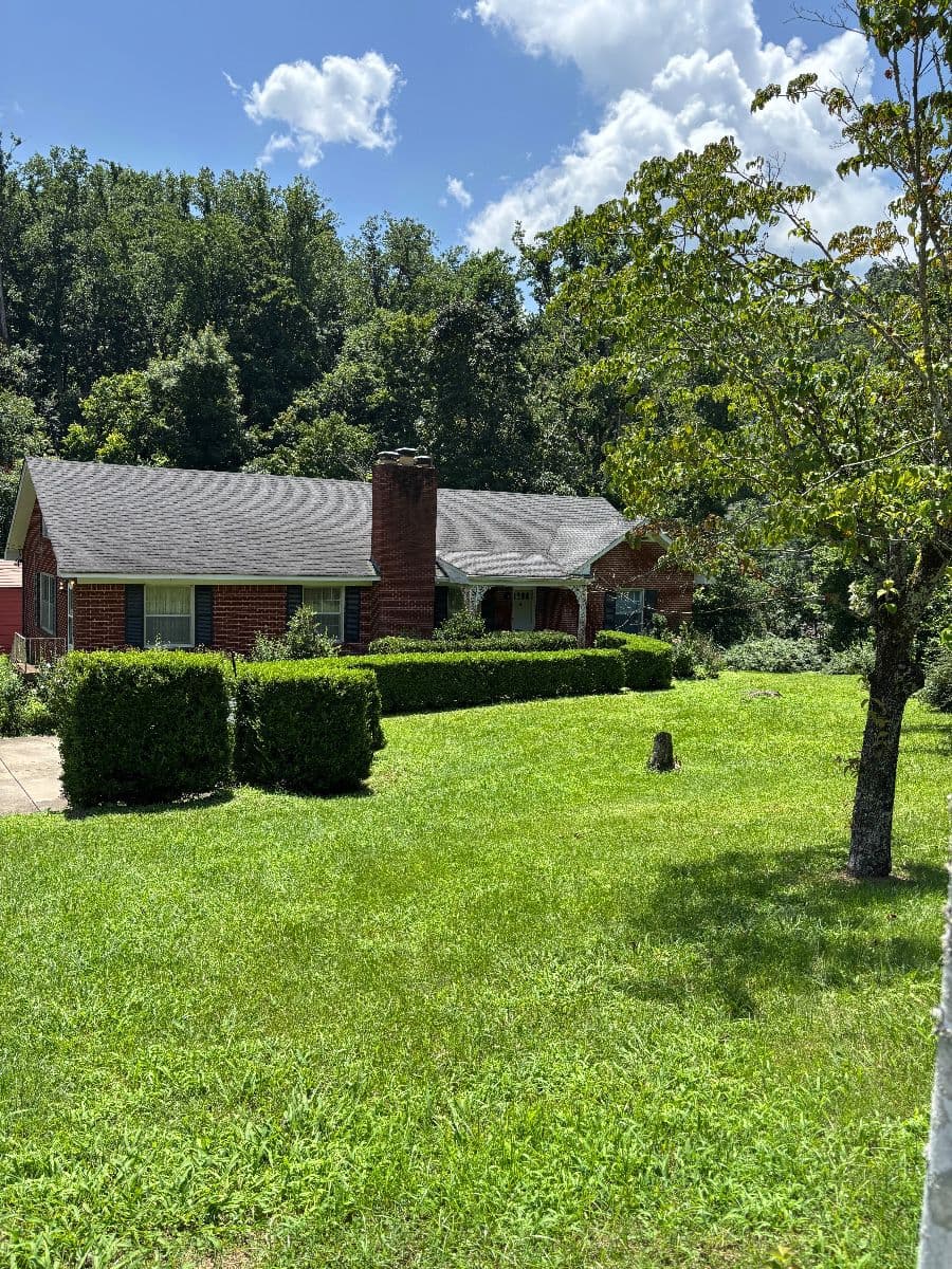A Vintage West Meade Multi-Phase Estate Sale Filled with Treasures! | July 24-26! photo 1