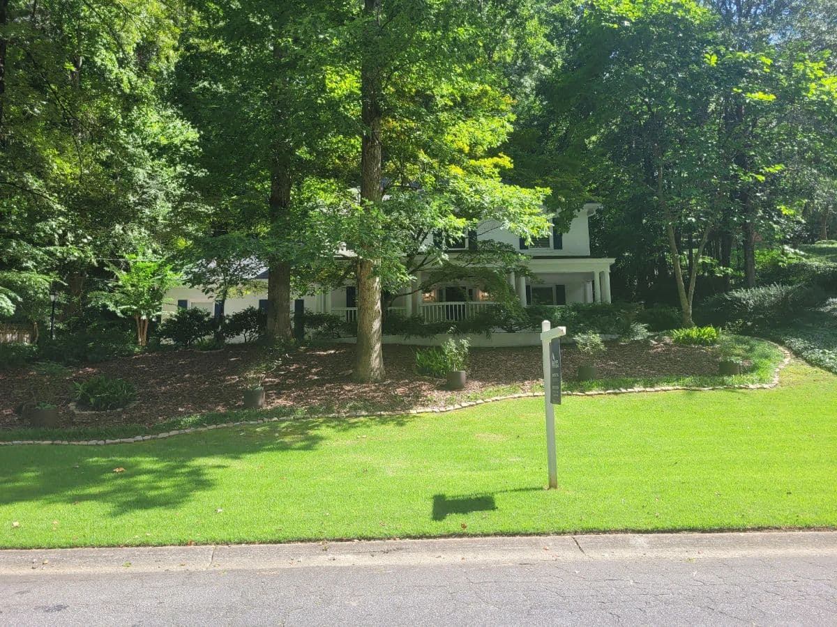 MCM and Collectables in Atlanta/Decatur photo 1