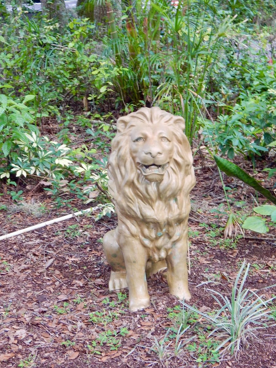 Orlando FL Estate Sale photo 2