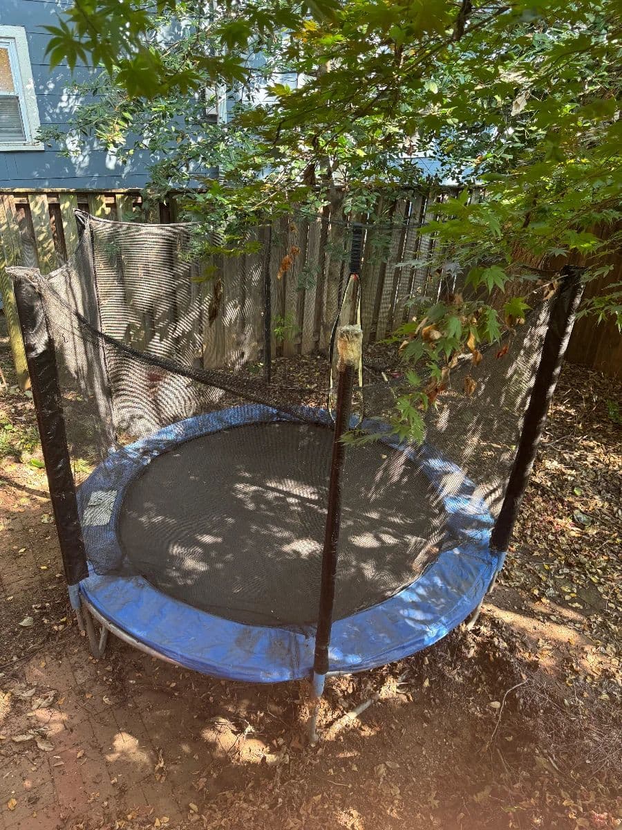 Estate Sale in Mount Pleasant, D.C.: FINAL DAY SUNDAY 7/26- STEEP DISCOUNTS! photo 11