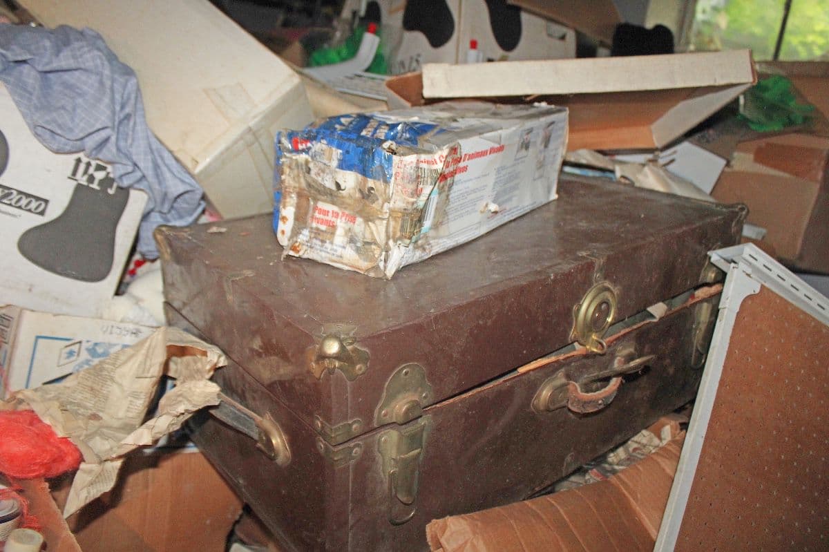 HUGE VINTAGE TIME CAPSULE ESTATE AUCTION photo 11