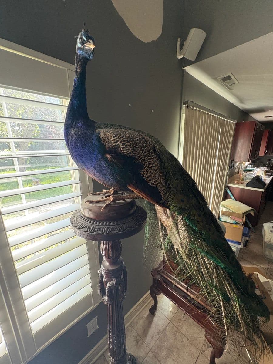 Eclectic, Chic, and Full of Art Estate Sale photo 10