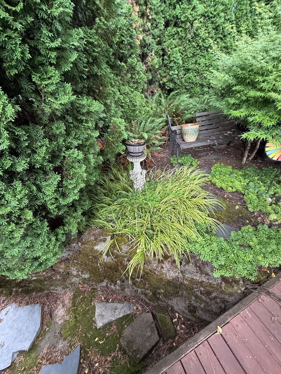 The Rusty Trunk LLC opens to "Treasure Hunt" Estate Sale photo 12