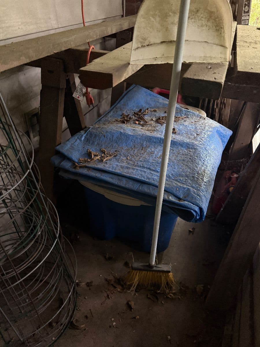 The Rusty Trunk LLC opens to "Treasure Hunt" Estate Sale photo 7