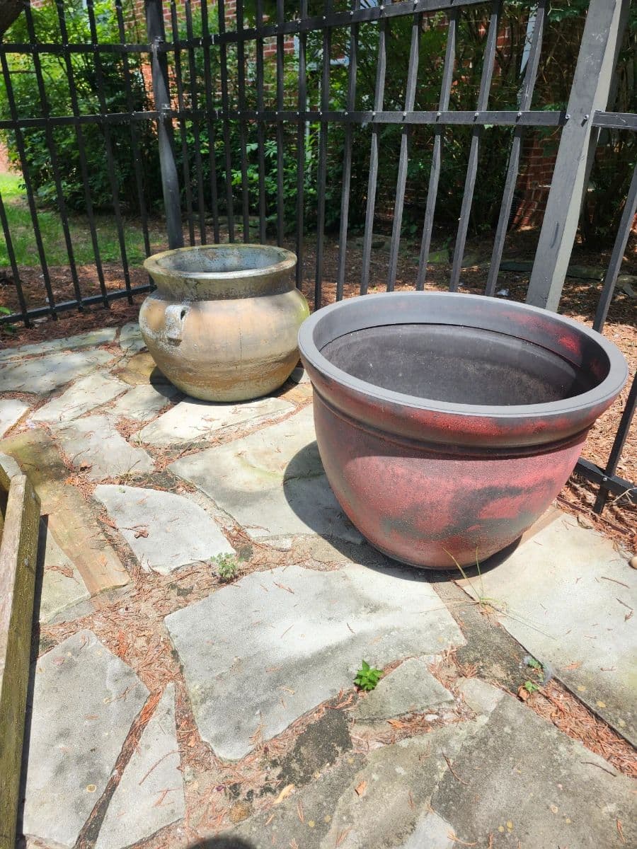 BELLEVUE ESTATE SALE! photo 4