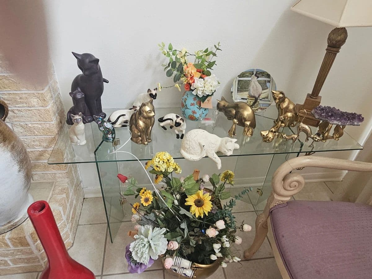 AMY GOSS REALTOR® & ESTATE SALES LLC DEERFIELD VILLAGE HOUSTON photo 10