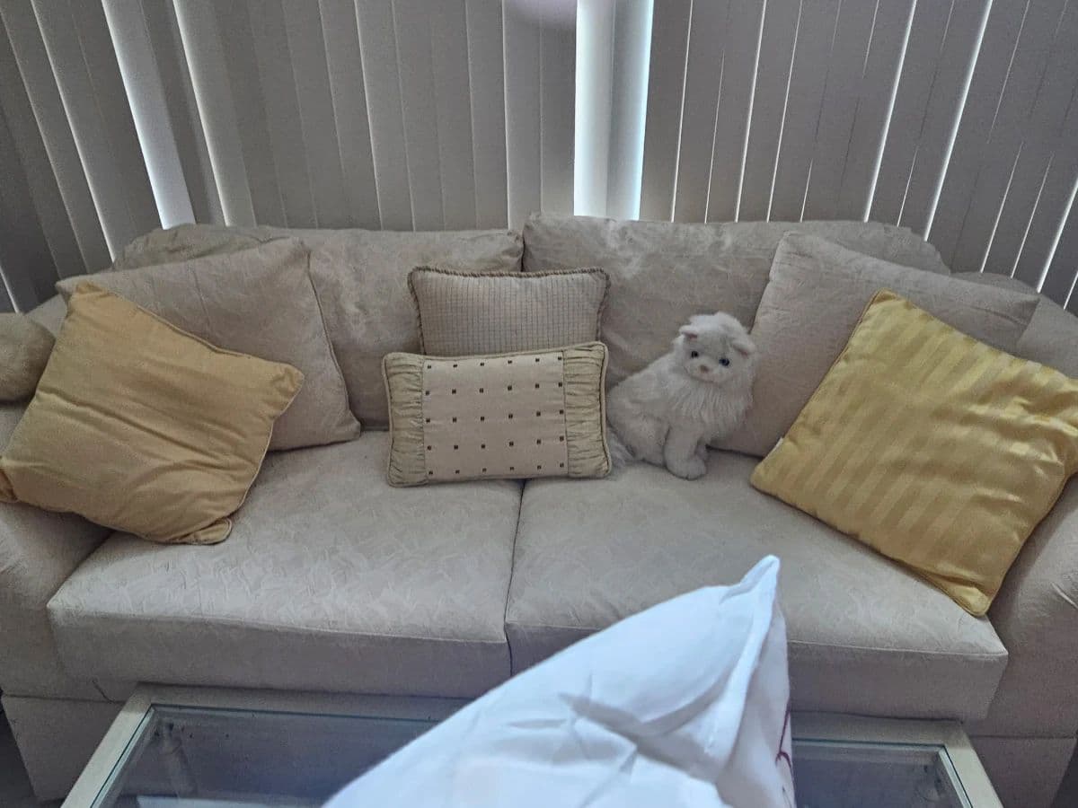 AMY GOSS REALTOR® & ESTATE SALES LLC DEERFIELD VILLAGE HOUSTON photo 12
