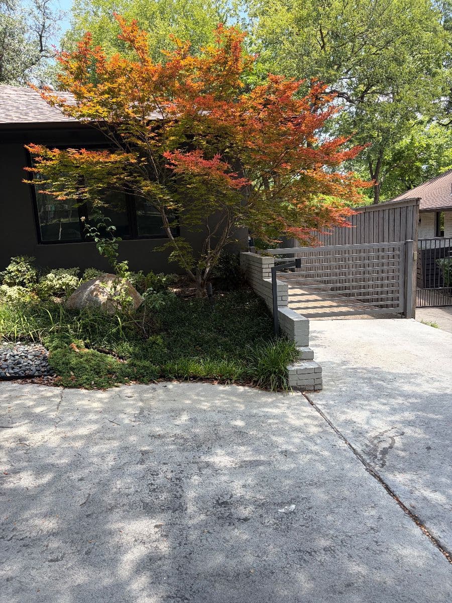 Very nice, Estate/demolition Sale on Janmar Circle by Blue Ribbon photo 5