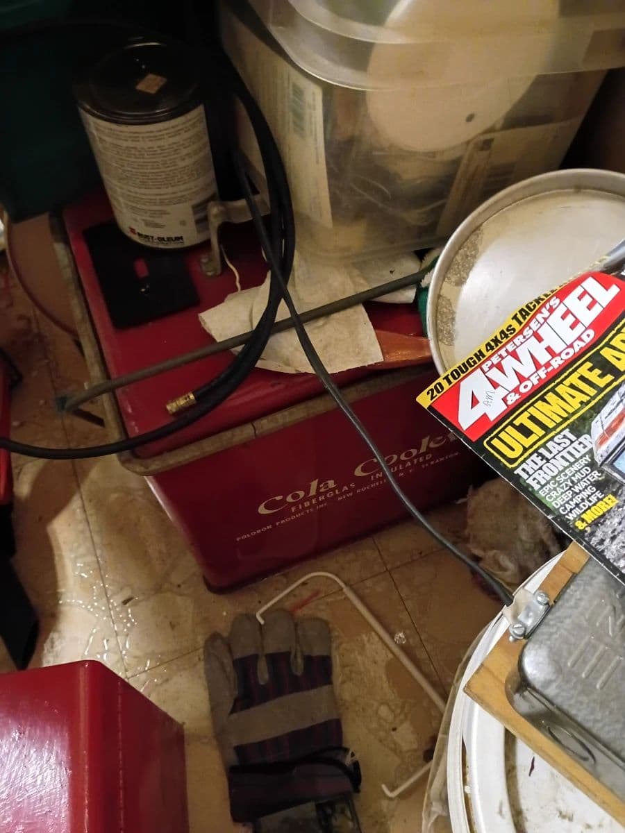 CHICAGO 2 FLAT PICKER'S SALE photo 3