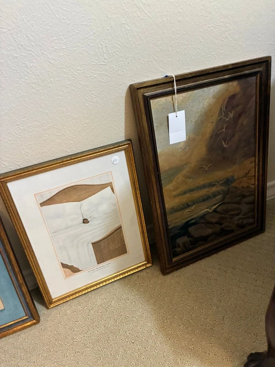 Blue Moon Estate Sale in Balcones Woods photo 12