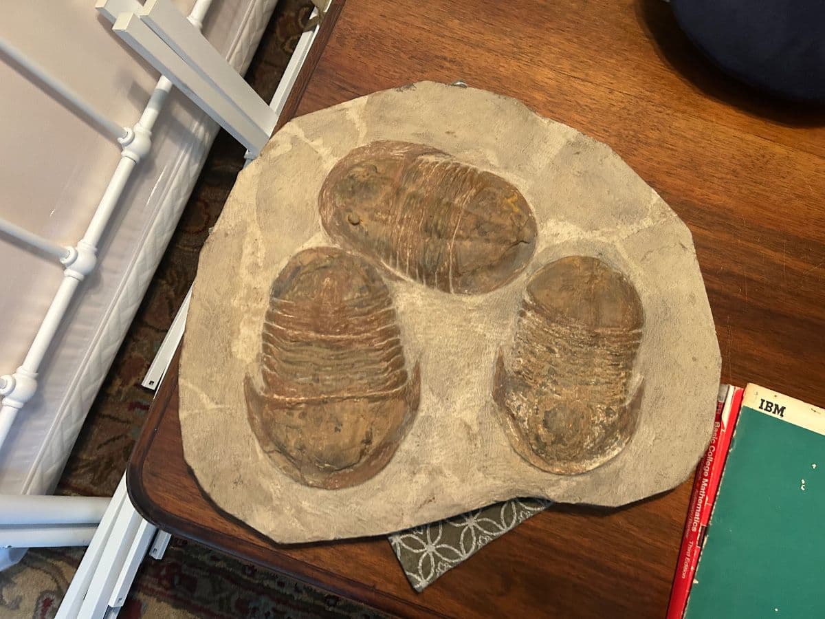 McCollum Estate Sale photo 10