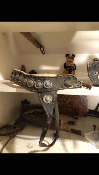 Huge Picker Sale in Downtown Phoenix photo 8