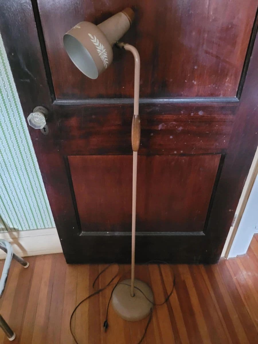 True Treasures, Fantastic Finds! photo 9