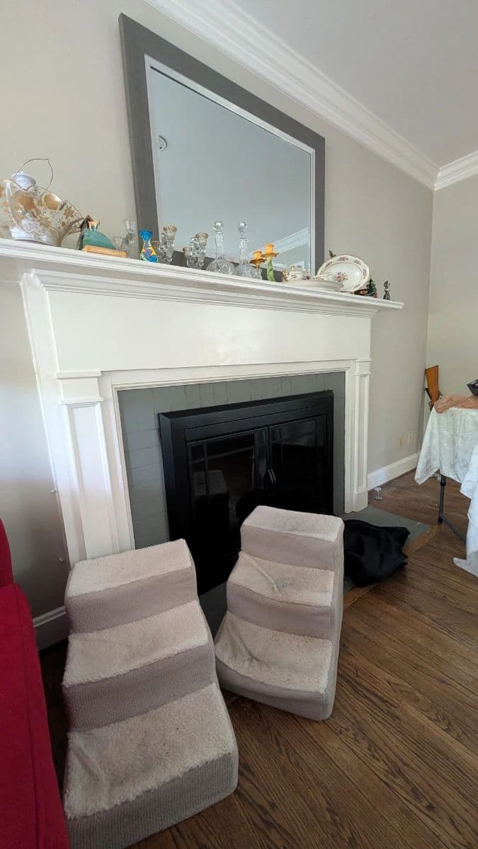 WONDERFUL "TEARDOWN" WEST MEADE ESTATE SALE photo 7
