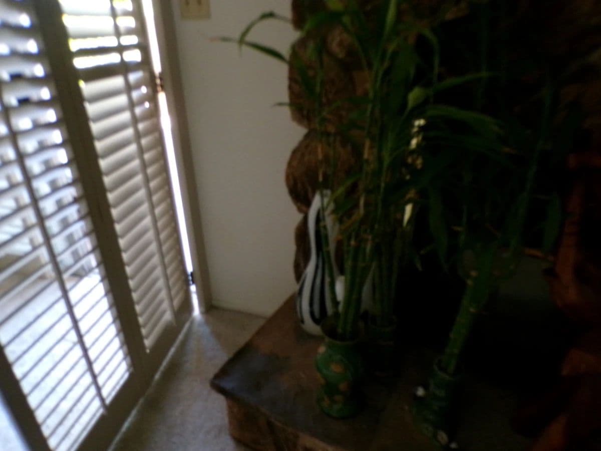 Sacramento Estate Sale BY A Simple Solution Estate Sale Company photo 5