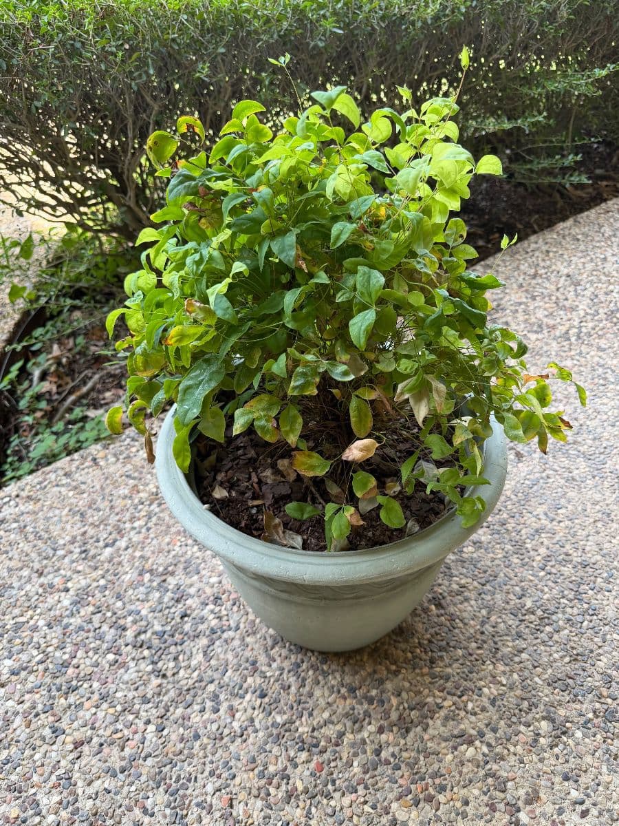 WELCOME HOME ESTATE SALE, DALLAS, TX photo 1