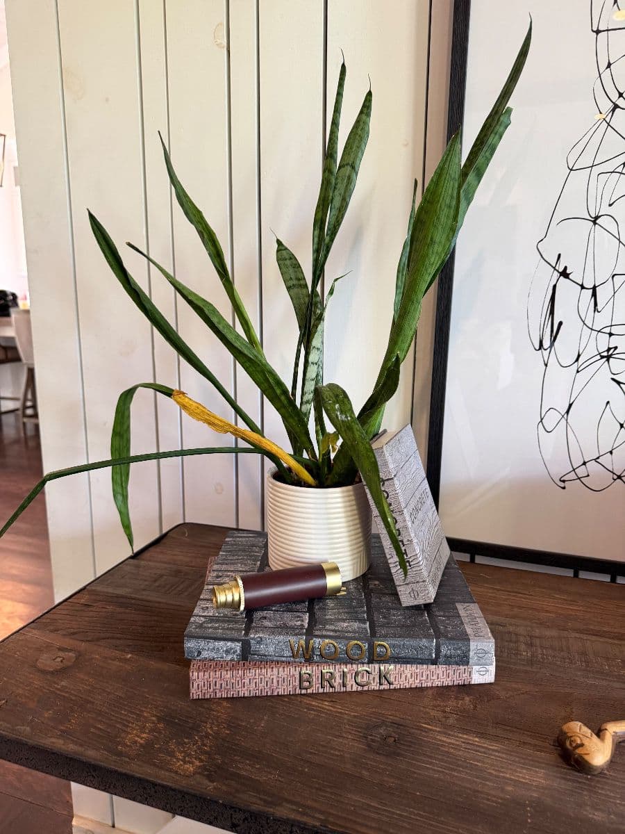 Luxury in Forest Hills Estate Sale photo 6