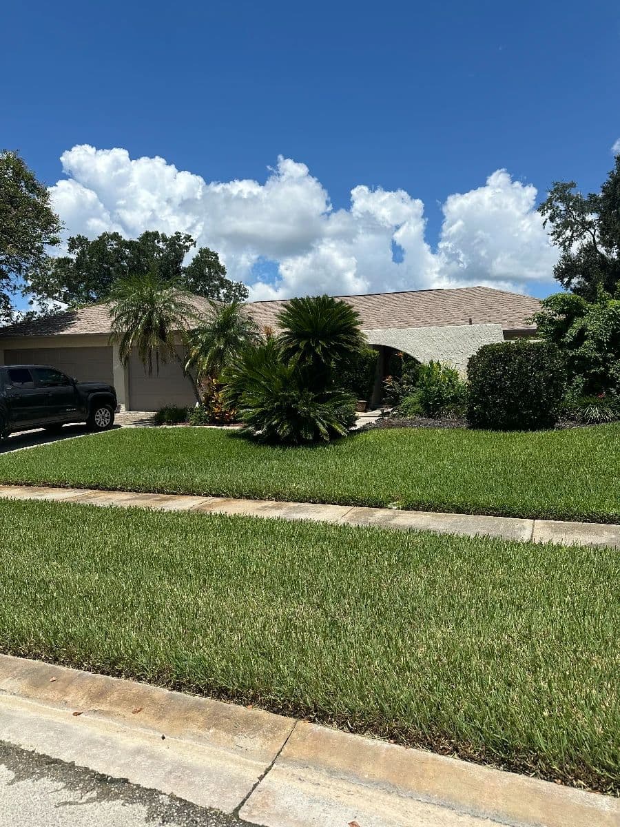 CAIT'S® Tampa Estate Sale photo 2