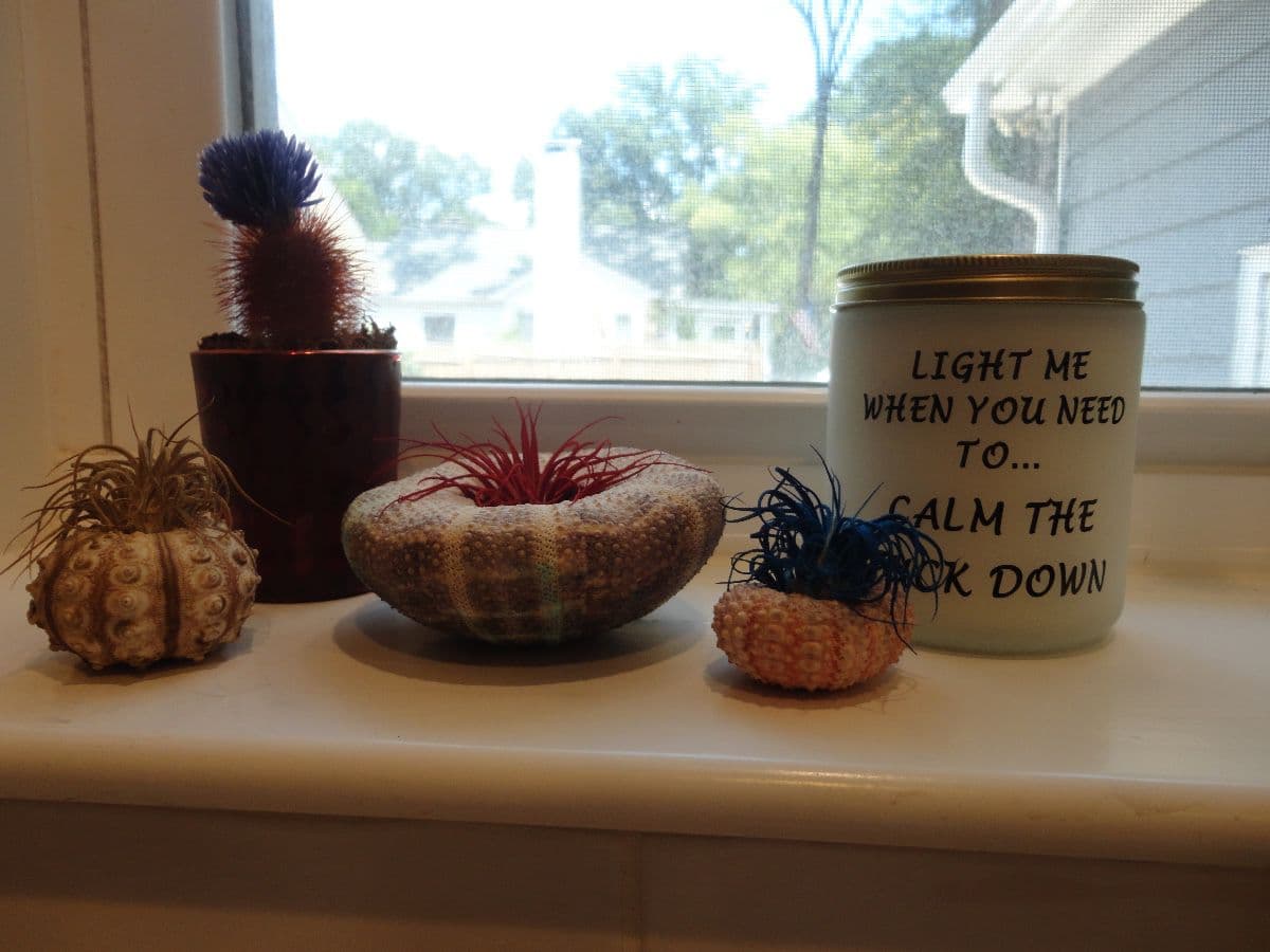 The Bohemian Bazaar Estate Sale by Bumble Bee (Demo Too!) photo 6