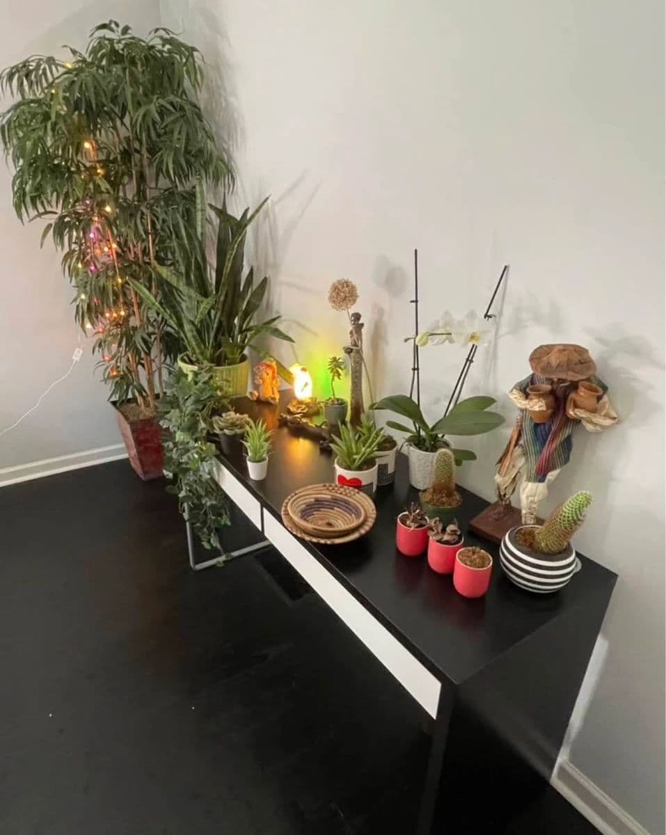Personal Estate and STR business Estate Sale photo 2