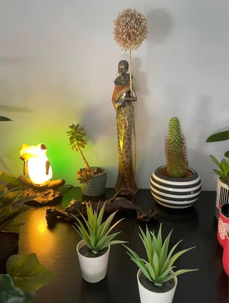 Personal Estate and STR business Estate Sale photo 3
