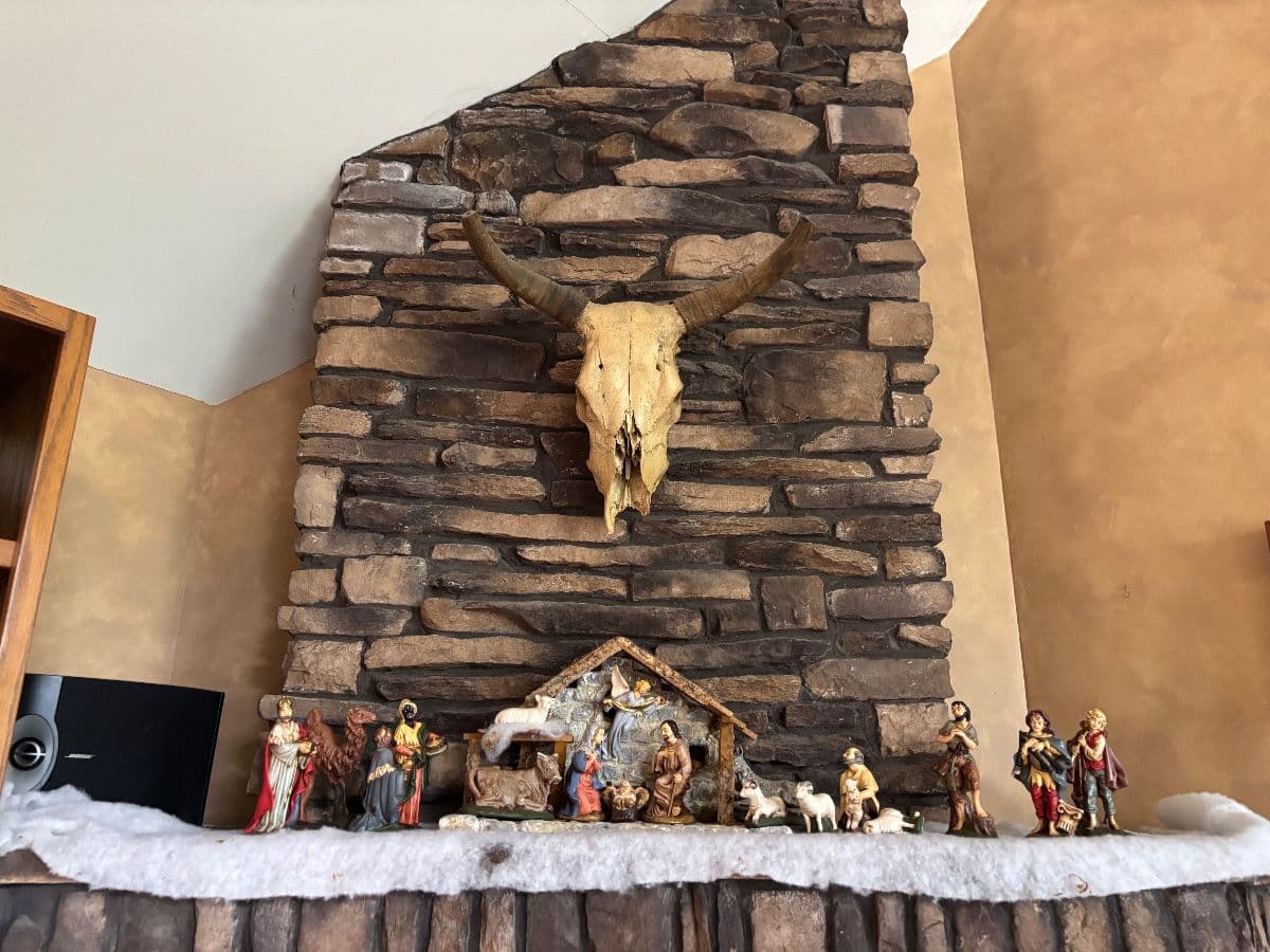 Crete Estate Sale Western Decor, Modern Decor, VTG Jewelry, Books & MUCH MORE photo 6