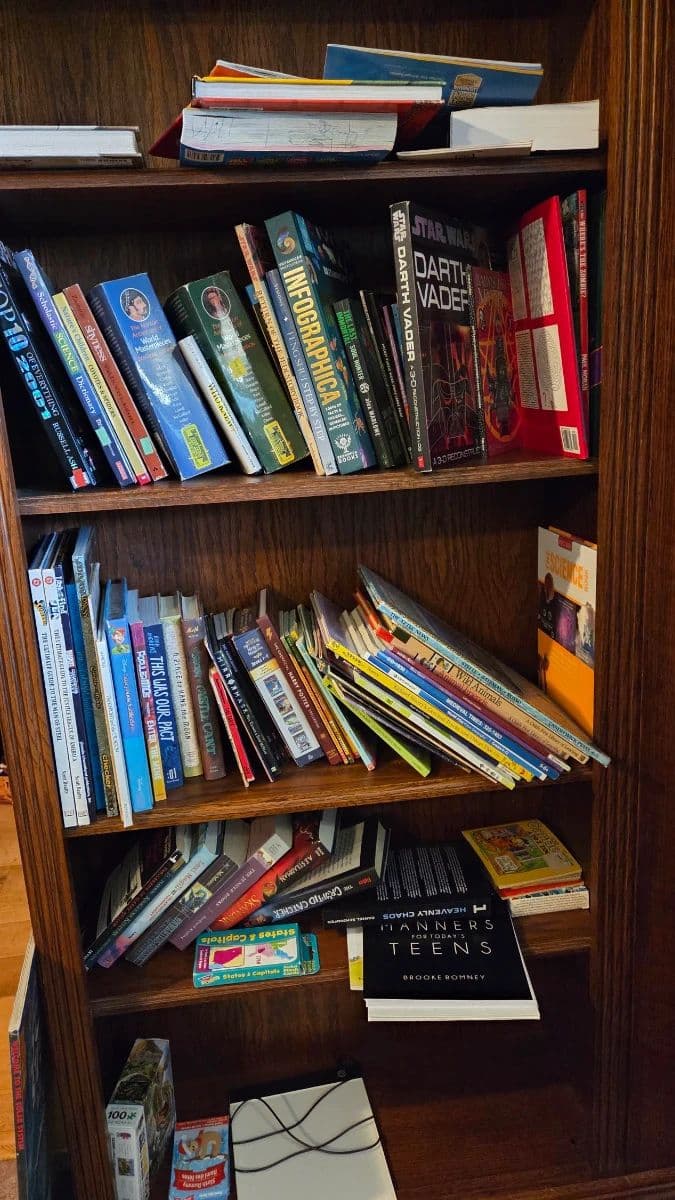 Dr. Phillips: Nice Furniture, Bosch Dishwasher, eBikes, Royal Copley, Corelle Dishes, Comics, Tools photo 9
