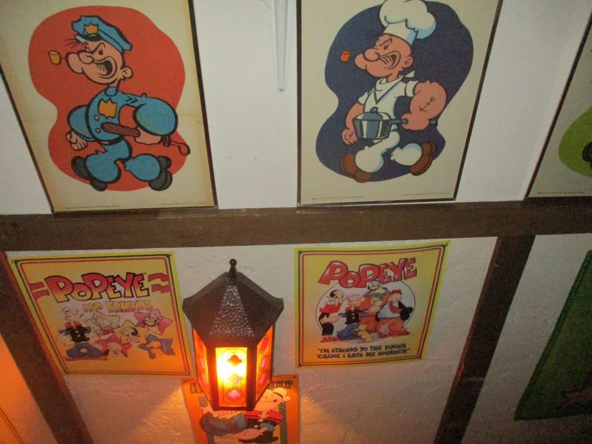 Flushing Estate Sale - Massive Vintage Toy Collection photo 6