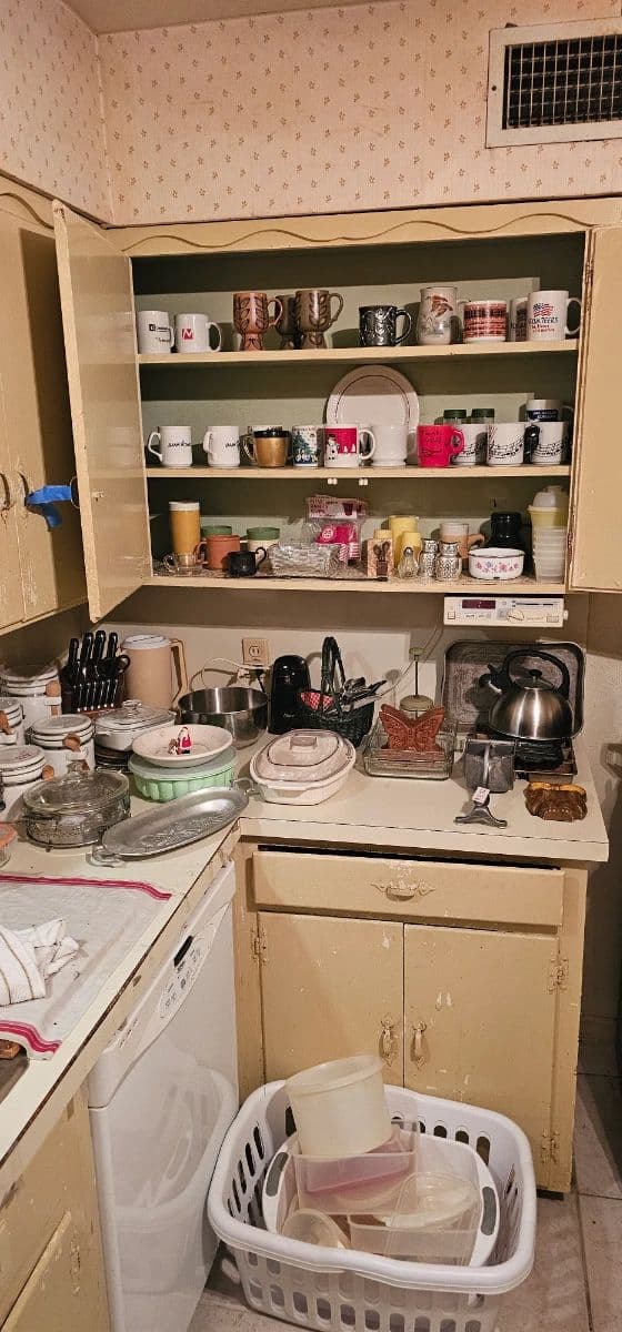 Estate Sales by Anthony ... Fab Home in Dallas FILLED with Treasures photo 12