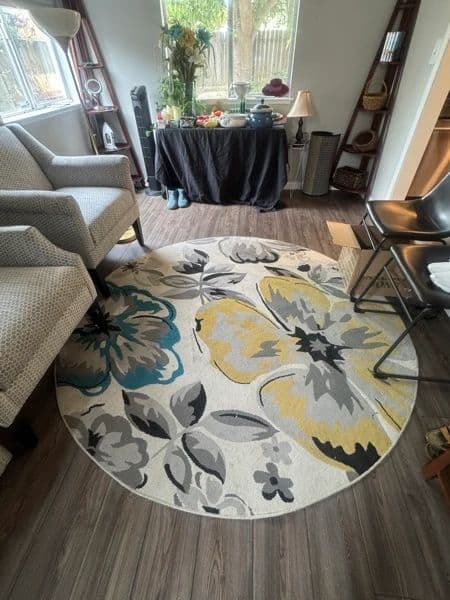 South Sacramento Estate Sale photo 2