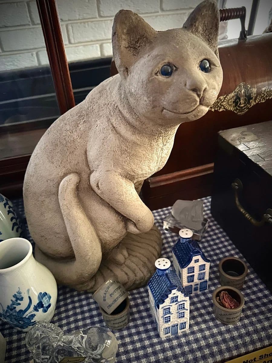 NW Cabinet of Curiosities PART 2! photo 2