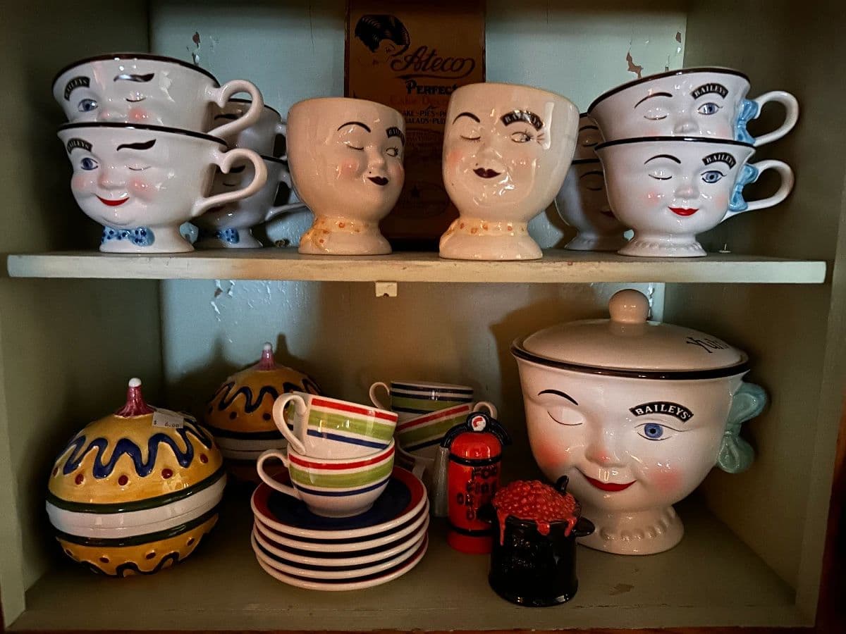 NW Cabinet of Curiosities PART 2! photo 5