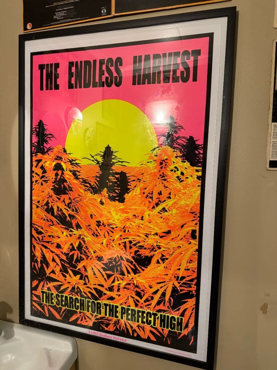 Hillsdale Estate - Concert T's, Vinyl, Collectibles photo 8