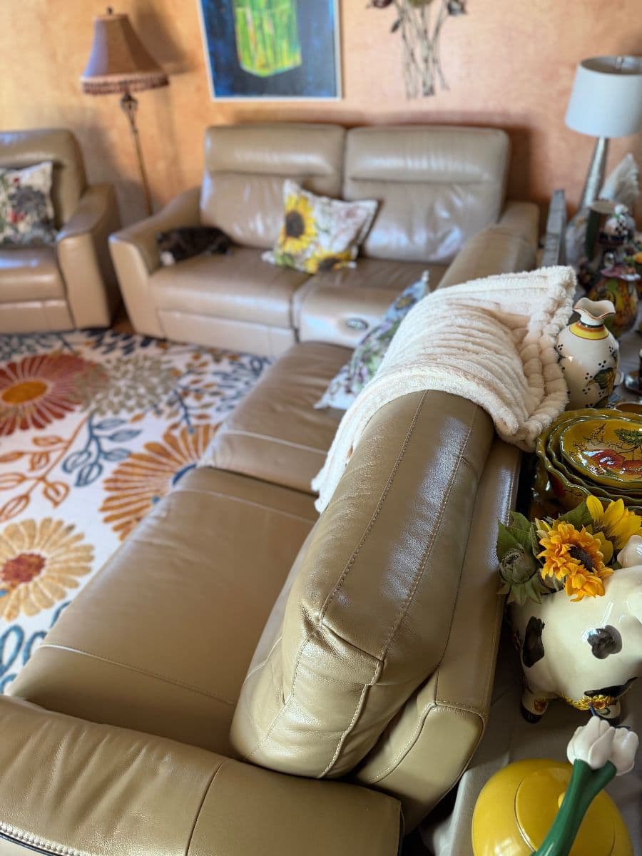 Scottsdale (StoneGate) Estate Sale Packed House. 2 days only sale photo 6