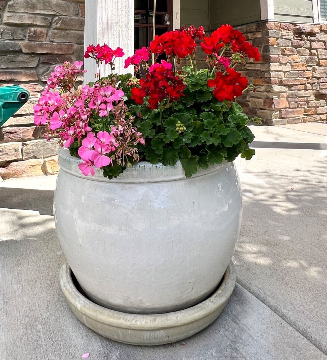 The Artful Gardner Estate Sale: Furniture, Art, Books & More photo 5