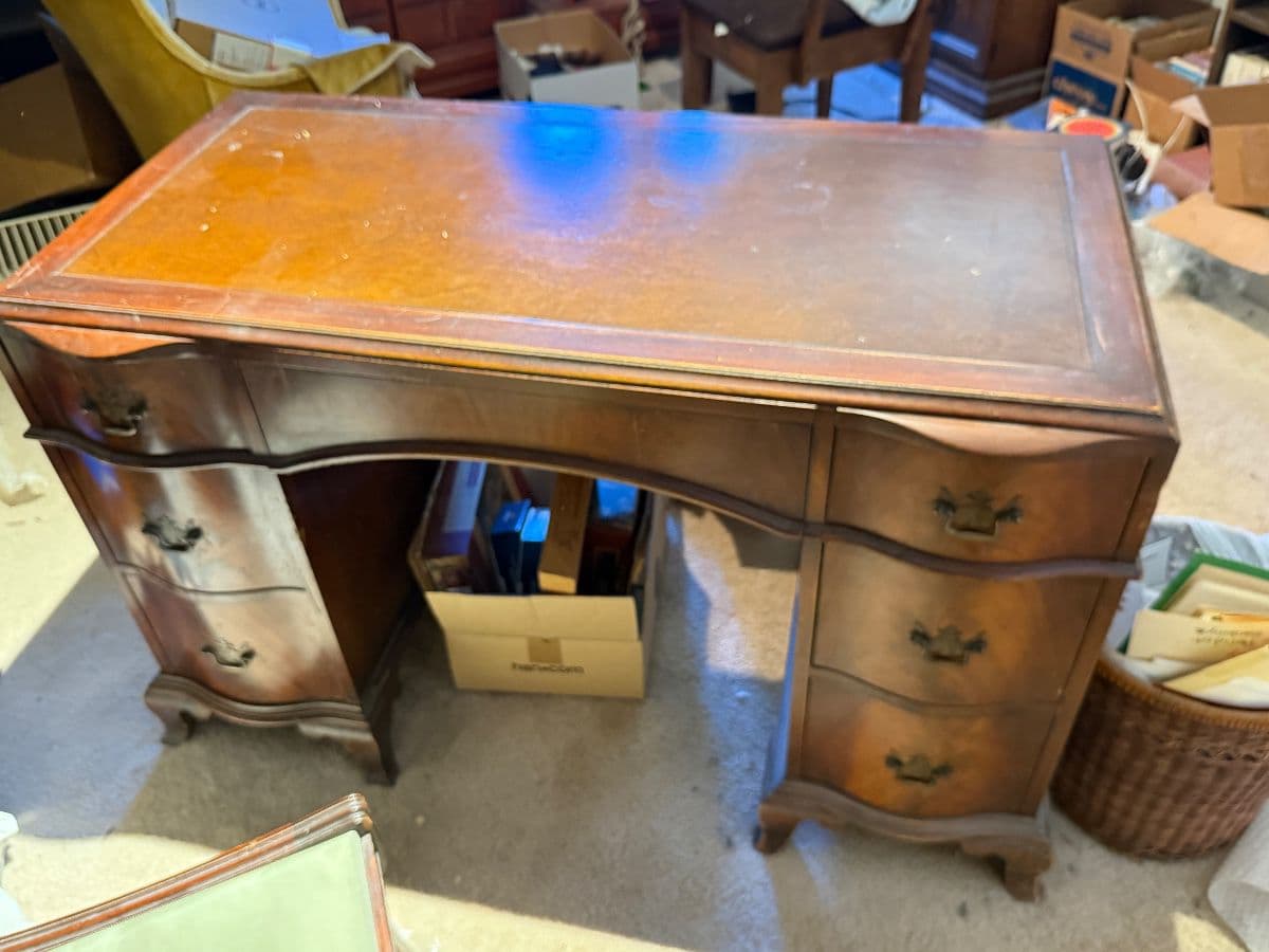 Beary Great Sale in Denver photo 9